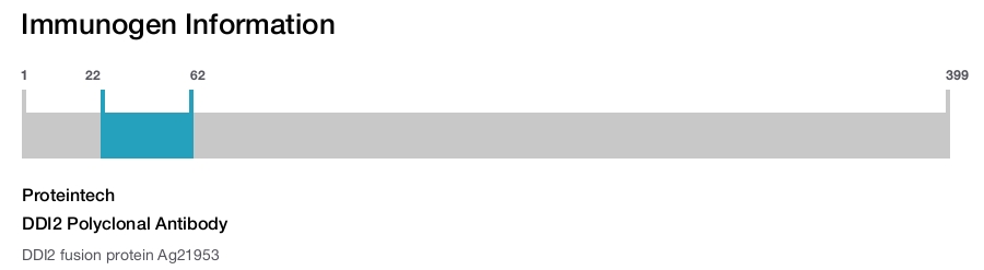 DDI2 Polyclonal Antibody