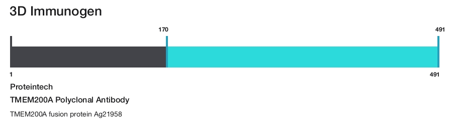 TMEM200A Polyclonal Antibody