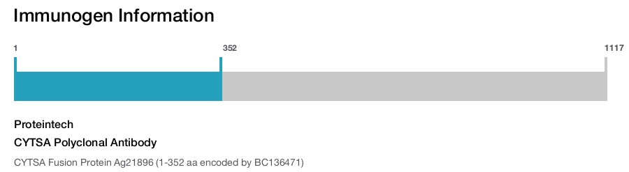 CYTSA Polyclonal Antibody