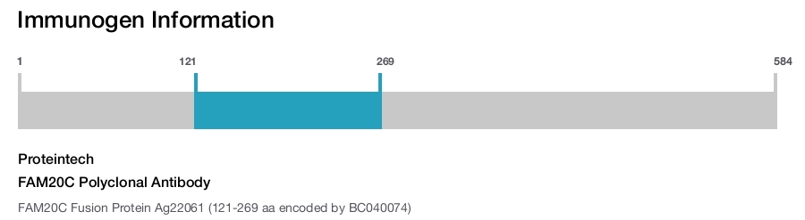 FAM20C Polyclonal Antibody