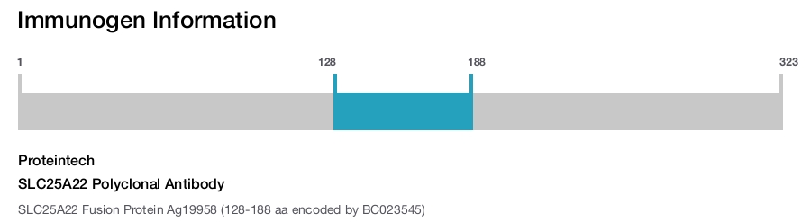 SLC25A22 Polyclonal Antibody