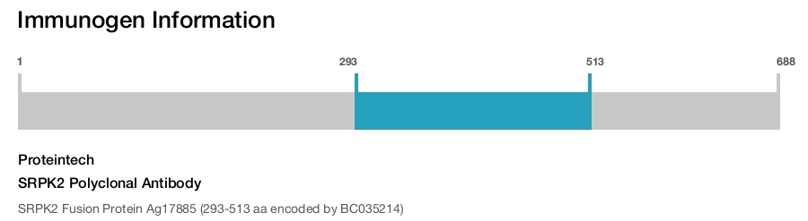 SRPK2 Polyclonal Antibody