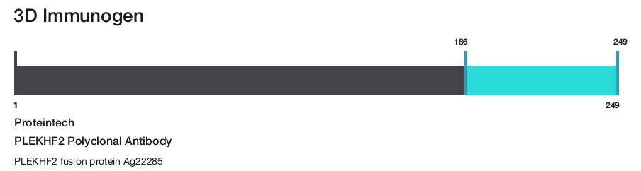 PLEKHF2 Polyclonal Antibody