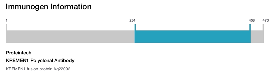 KREMEN1 Polyclonal Antibody