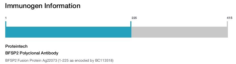 BFSP2 Polyclonal Antibody