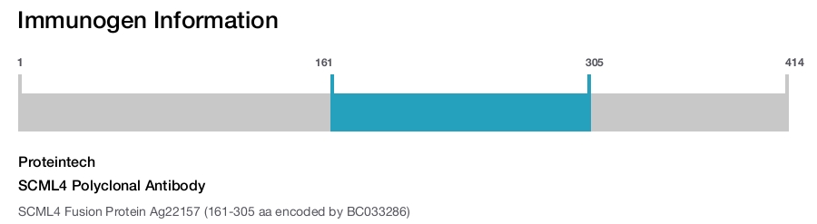 SCML4 Polyclonal Antibody