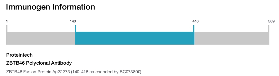 ZBTB46 Polyclonal Antibody