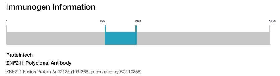 ZNF211 Polyclonal Antibody