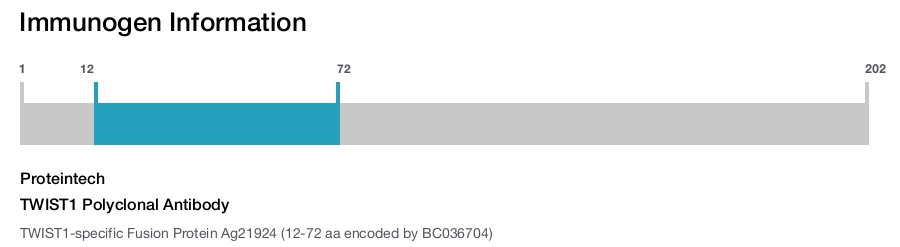 TWIST1 Polyclonal Antibody