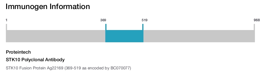STK10 Polyclonal Antibody
