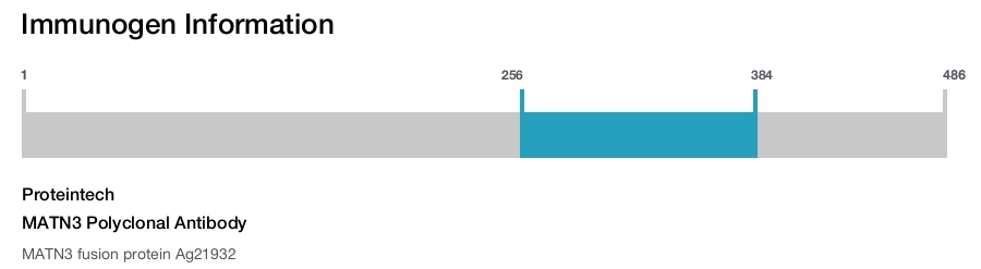 MATN3 Polyclonal Antibody