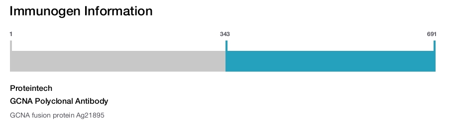 GCNA Polyclonal Antibody