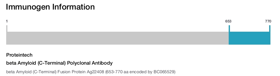 beta Amyloid (C-Terminal) Polyclonal Antibody