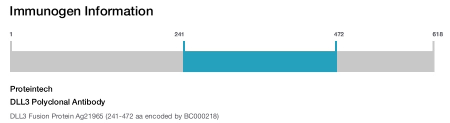 DLL3 Polyclonal Antibody