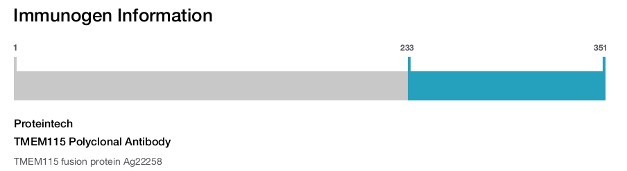 TMEM115 Polyclonal Antibody