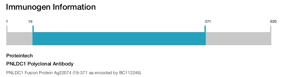 PNLDC1 Polyclonal Antibody