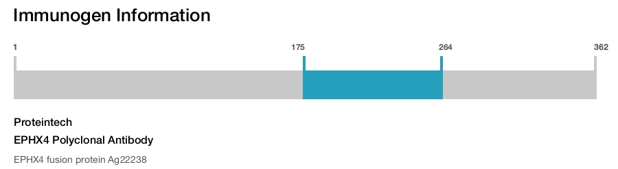EPHX4 Polyclonal Antibody