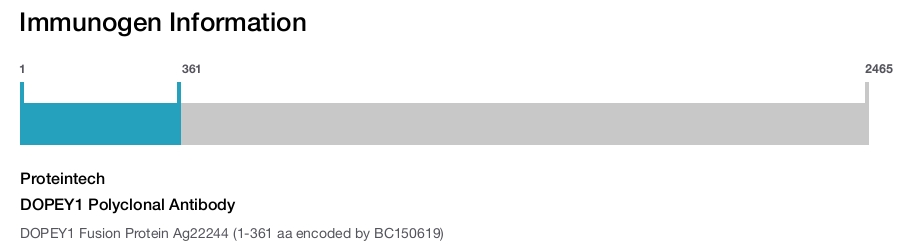 DOPEY1 Polyclonal Antibody