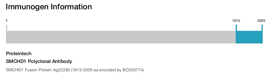SMCHD1 Polyclonal Antibody