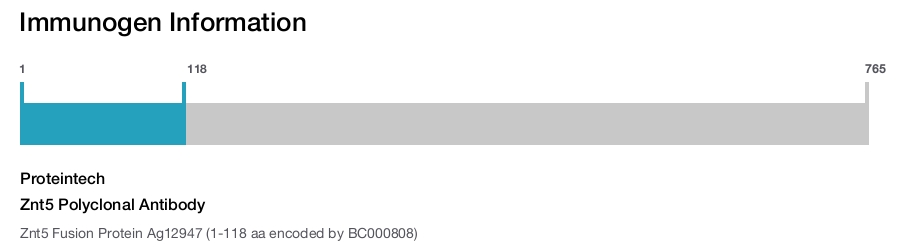 Znt5 Polyclonal Antibody