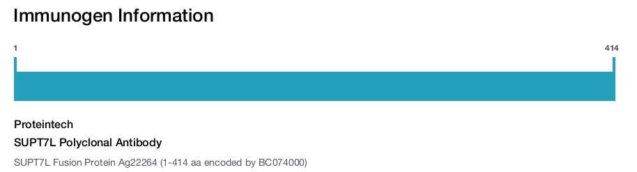 SUPT7L Polyclonal Antibody