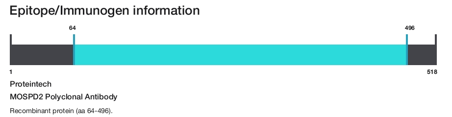 MOSPD2 Polyclonal Antibody