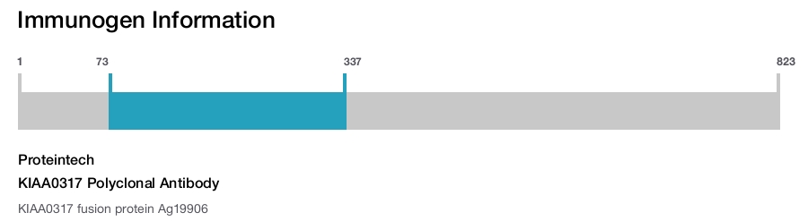 KIAA0317 Polyclonal Antibody
