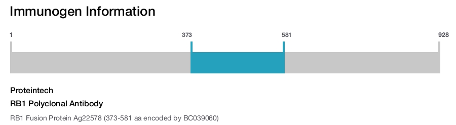 RB1 Polyclonal Antibody