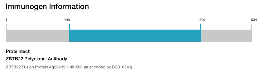 ZBTB22 Polyclonal Antibody