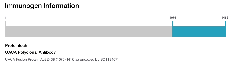 UACA Polyclonal Antibody