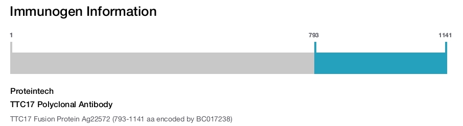 TTC17 Polyclonal Antibody