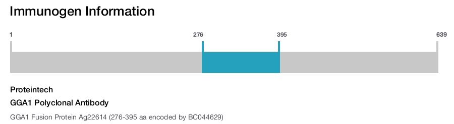 GGA1 Polyclonal Antibody