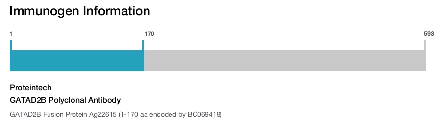 GATAD2B Polyclonal Antibody