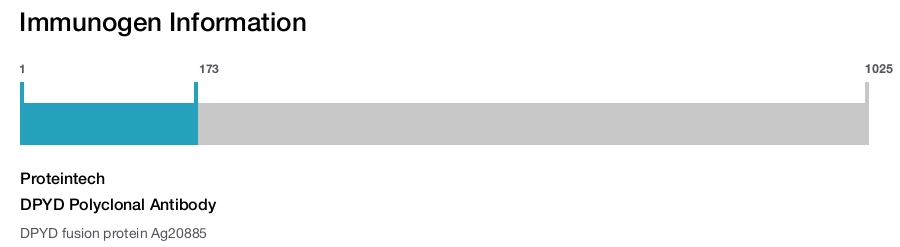 DPYD Polyclonal Antibody
