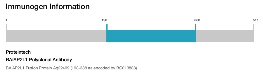 BAIAP2L1 Polyclonal Antibody