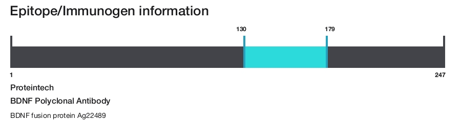 BDNF Polyclonal Antibody
