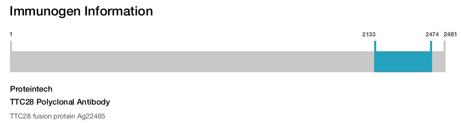 TTC28 Polyclonal Antibody