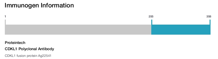 CDKL1 Polyclonal Antibody