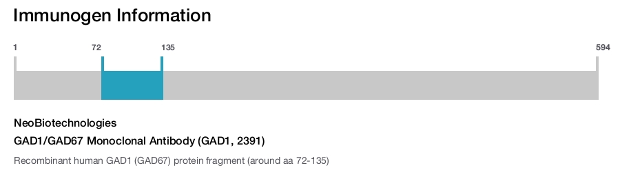 GAD1/GAD67 Monoclonal Antibody (GAD1, 2391)