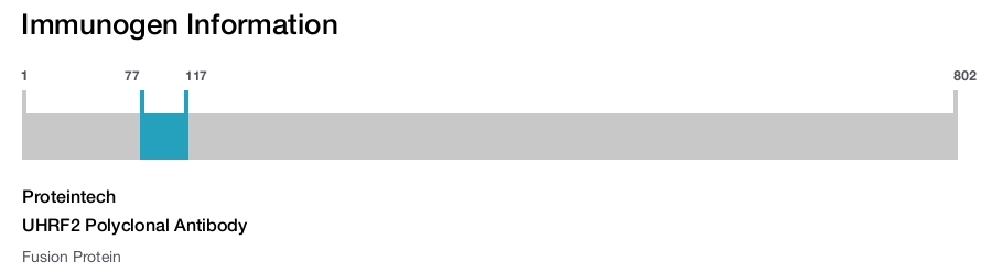 UHRF2 Polyclonal Antibody