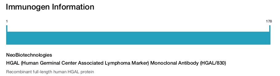 HGAL (Human Germinal Center Associated Lymphoma Marker) Monoclonal Antibody (HGAL/830)
