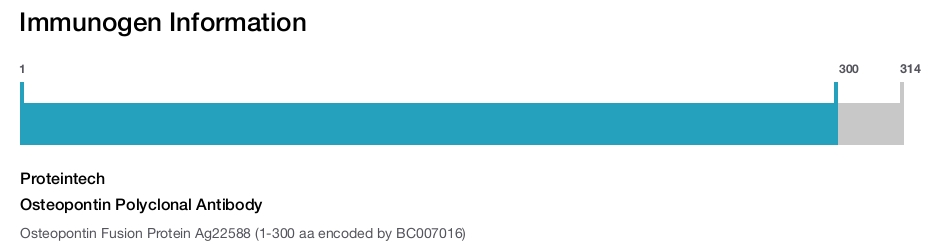 Osteopontin Polyclonal Antibody