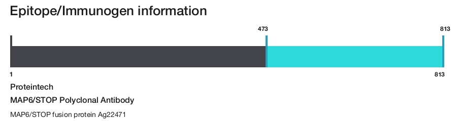 MAP6/STOP Polyclonal Antibody