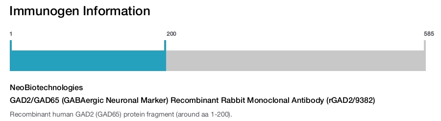 GAD2/GAD65 (GABAergic Neuronal Marker) Recombinant Rabbit Monoclonal Antibody (rGAD2/9382)
