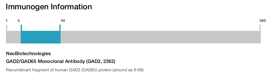 GAD2/GAD65 Monoclonal Antibody (GAD2, 2362)