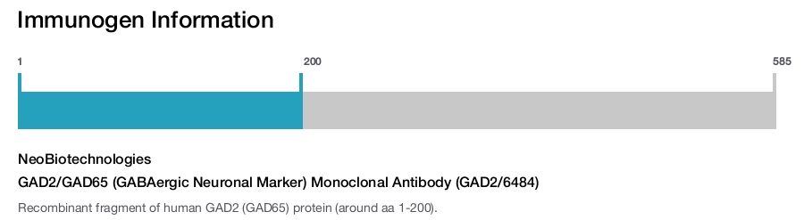 GAD2/GAD65 (GABAergic Neuronal Marker) Monoclonal Antibody (GAD2/6484)