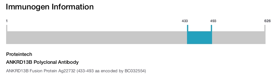 ANKRD13B Polyclonal Antibody