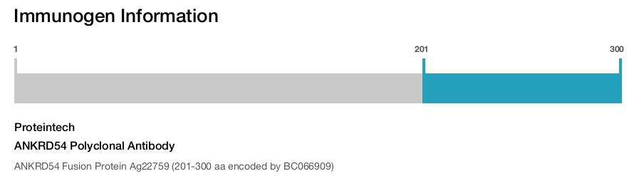 ANKRD54 Polyclonal Antibody