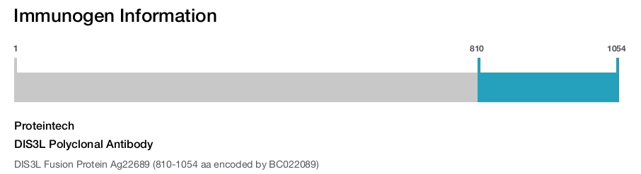 DIS3L Polyclonal Antibody