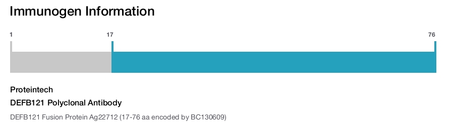 DEFB121 Polyclonal Antibody